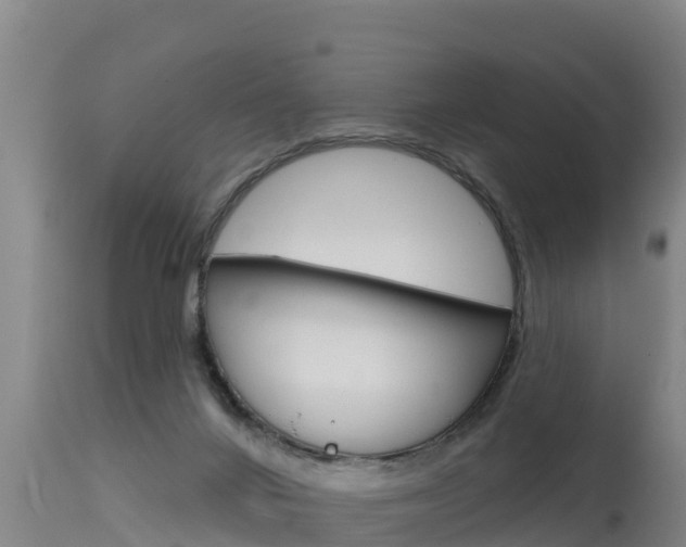 X0000115670024200911121016