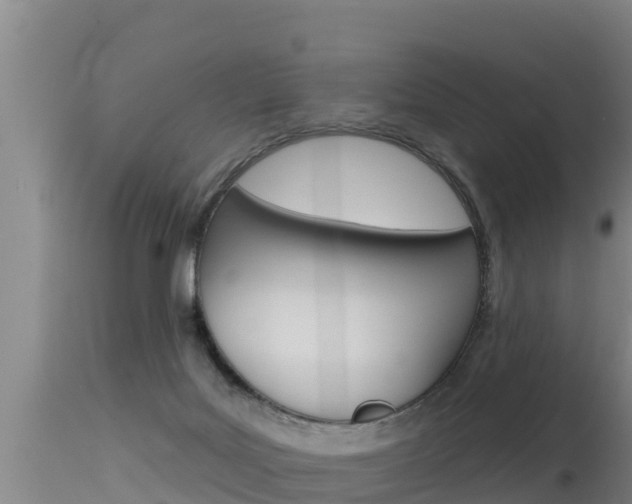 X0000115670027200911121016