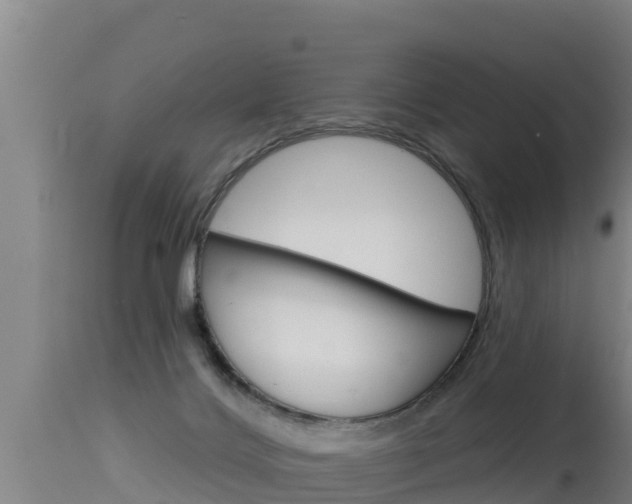 X0000115670028200911121016