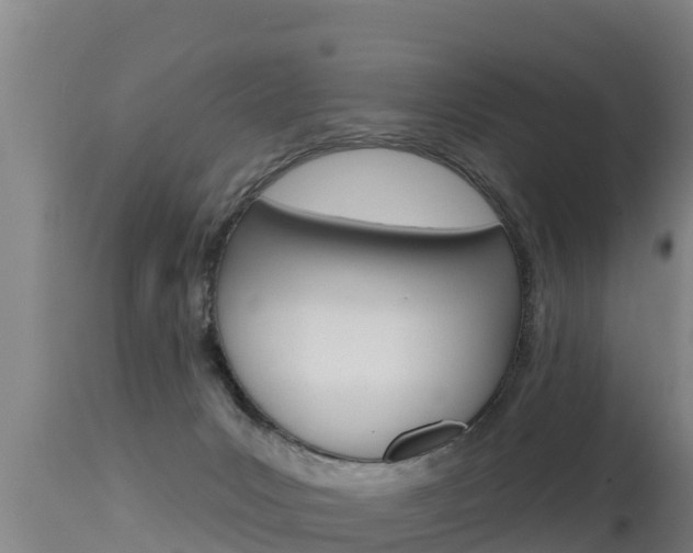 X0000115670031200911121016
