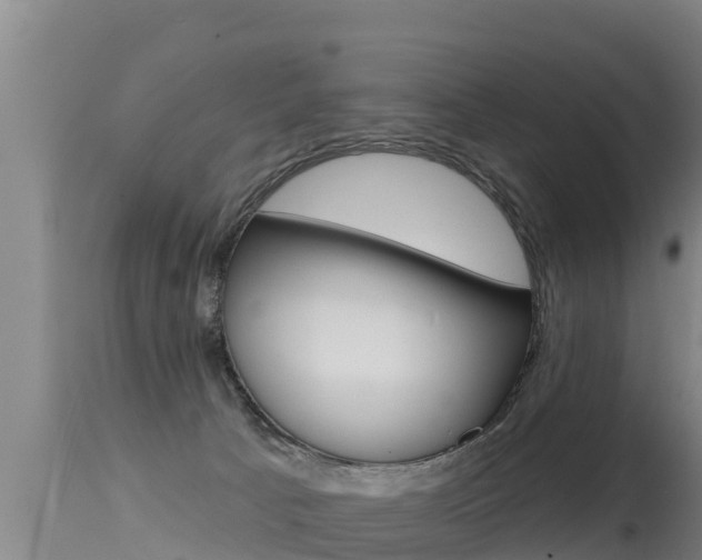 X0000115670033200911121016