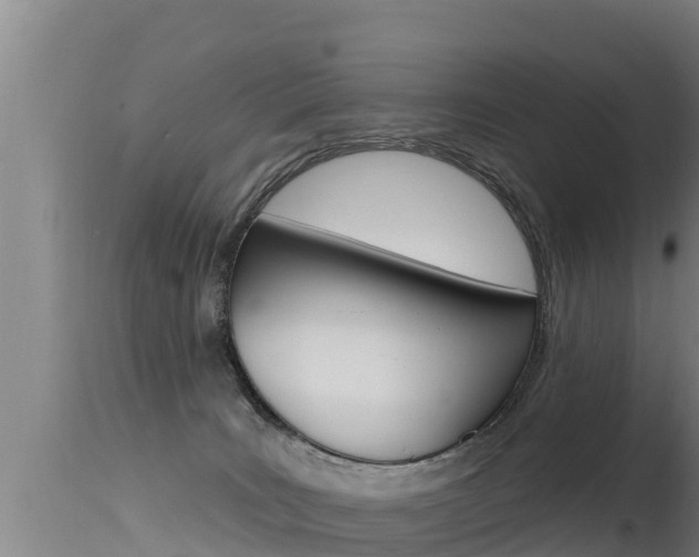 X0000115670035200911121016