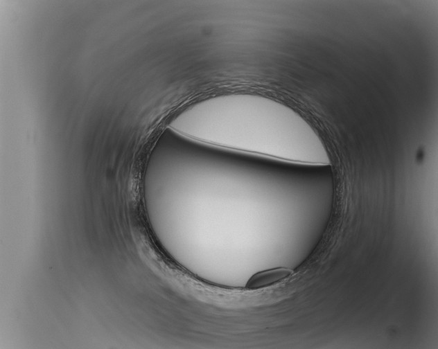 X0000115670039200911121016