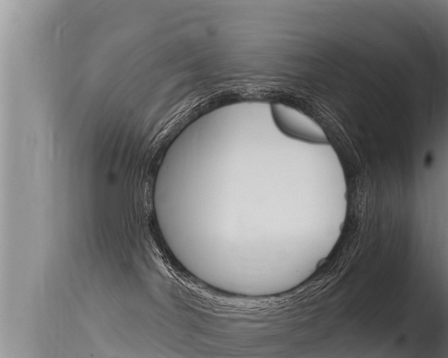 X0000115670044200911121016