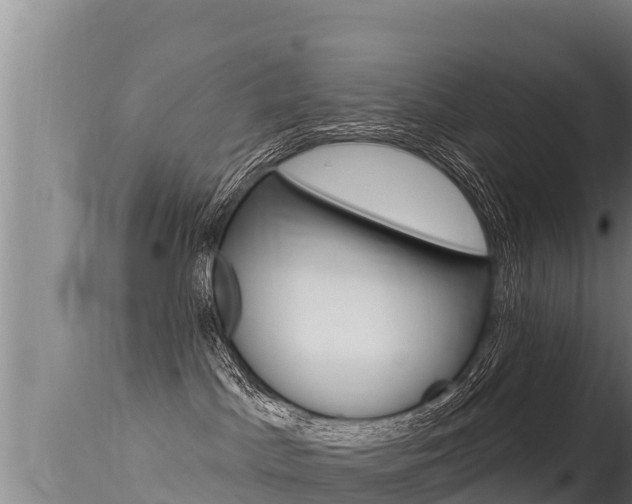 X0000115670045200911121016