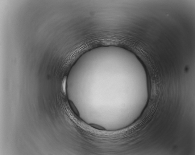 X0000115670047200911121016