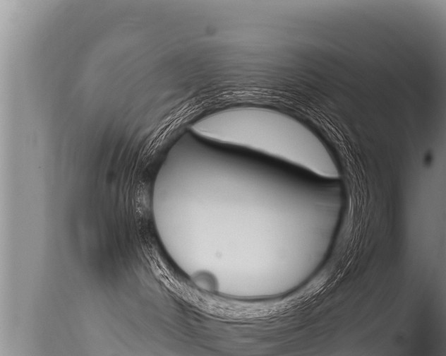 X0000115670048200911121016