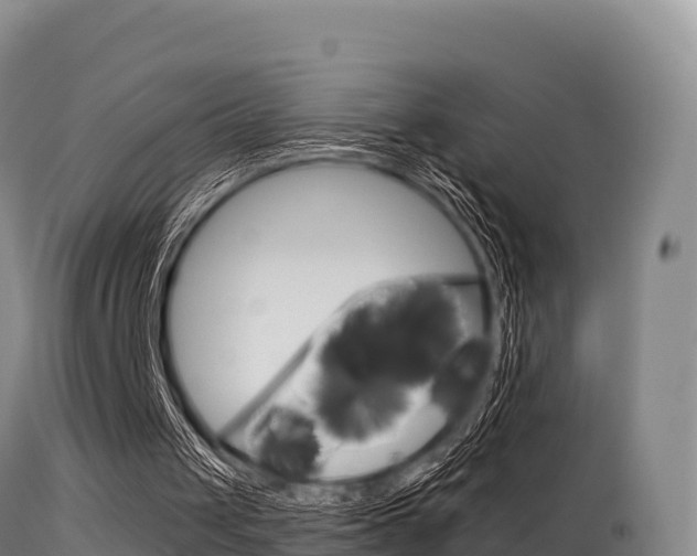 X0000115670049200911121015