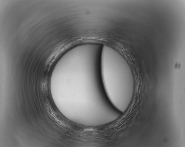 X0000115670050200911121015