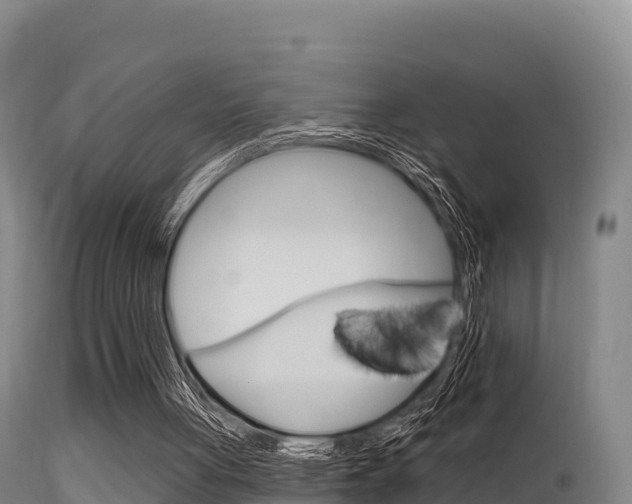 X0000115670051200911121015