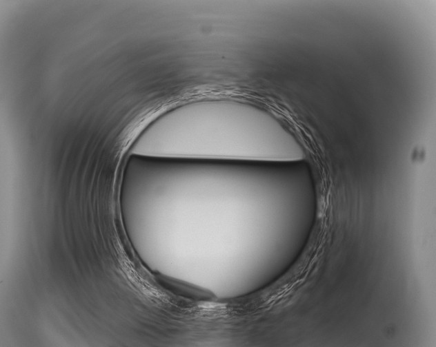 X0000115670052200911121015