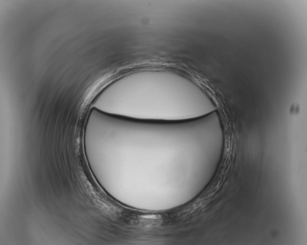 X0000115670053200911121015