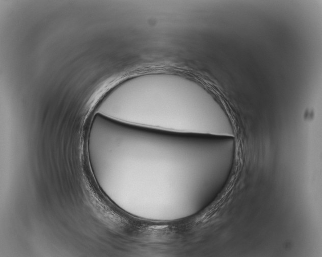 X0000115670054200911121015