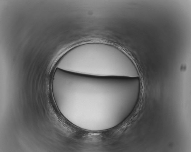X0000115670055200911121015