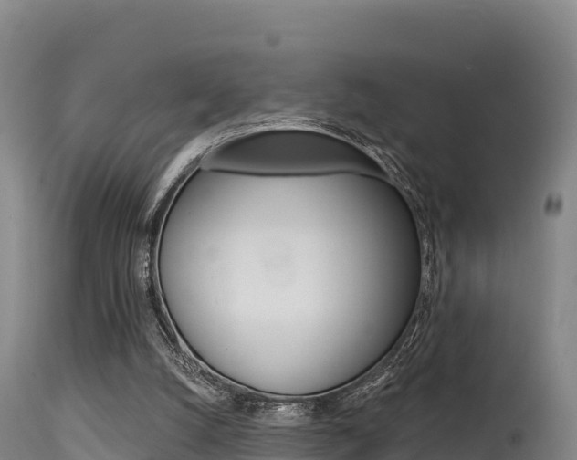 X0000115670056200911121015