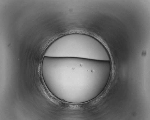 X0000115670057200911121016
