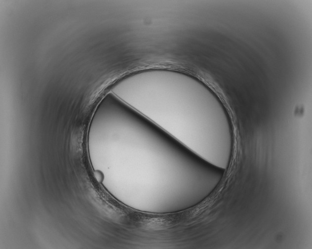 X0000115670058200911121016