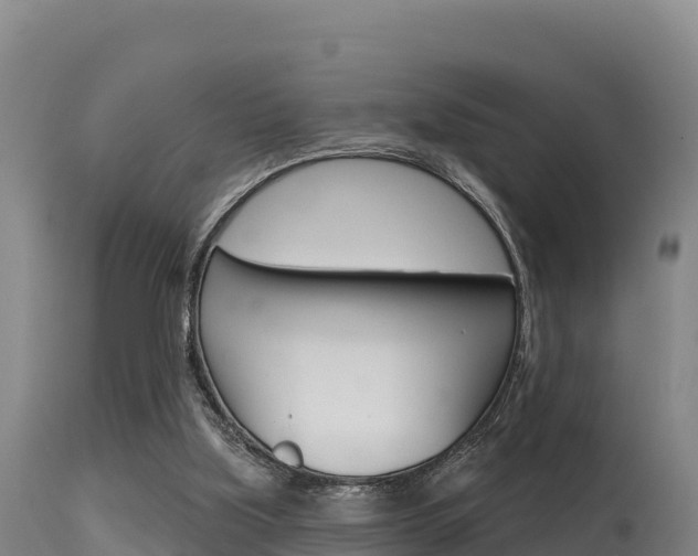 X0000115670059200911121016