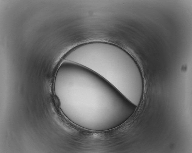 X0000115670060200911121016