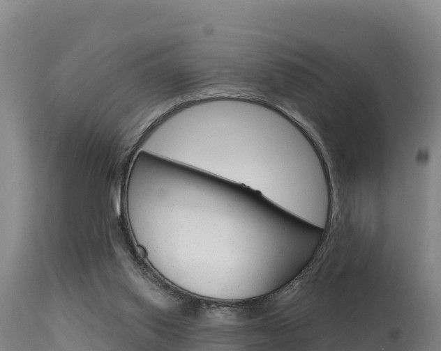 X0000115670062200911121016