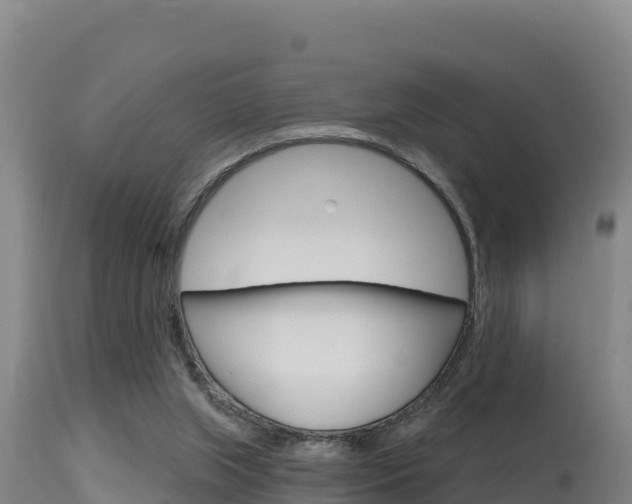 X0000115670063200911121016
