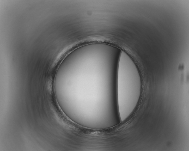 X0000115670064200911121016