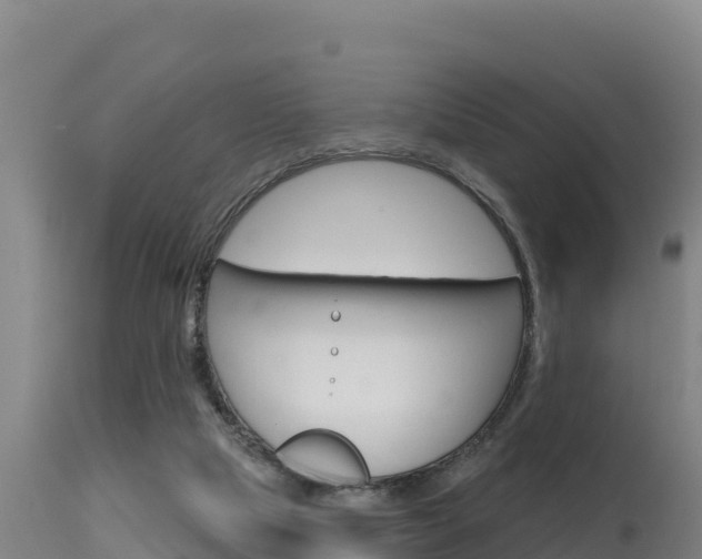 X0000115670065200911121016