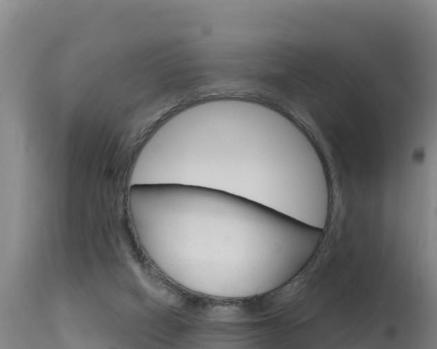 X0000115670066200911121016