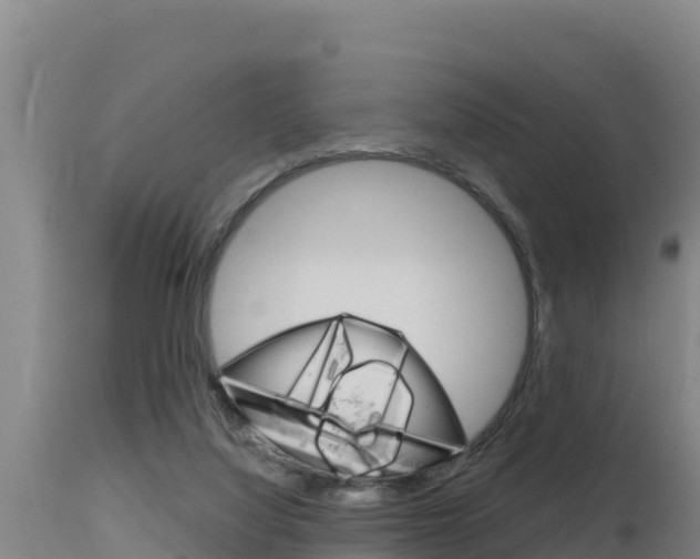 X0000115670068200911121016