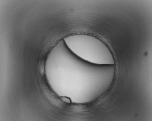 X0000115670069200911121016