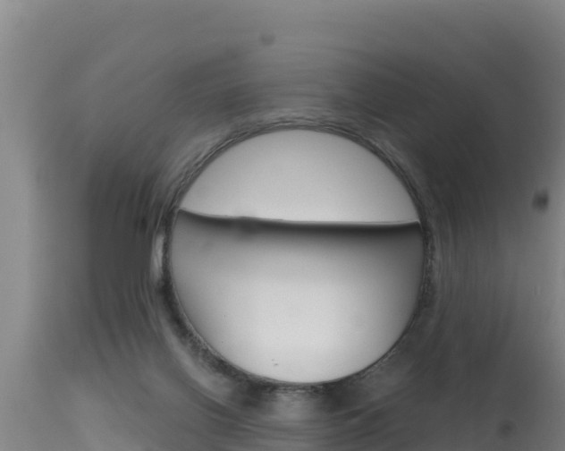 X0000115670070200911121016