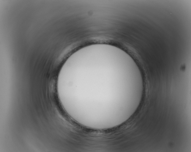 X0000115670071200911121016