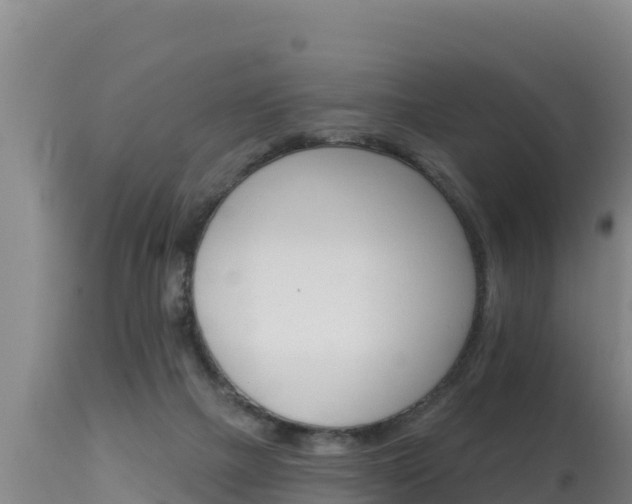 X0000115670073200911121016