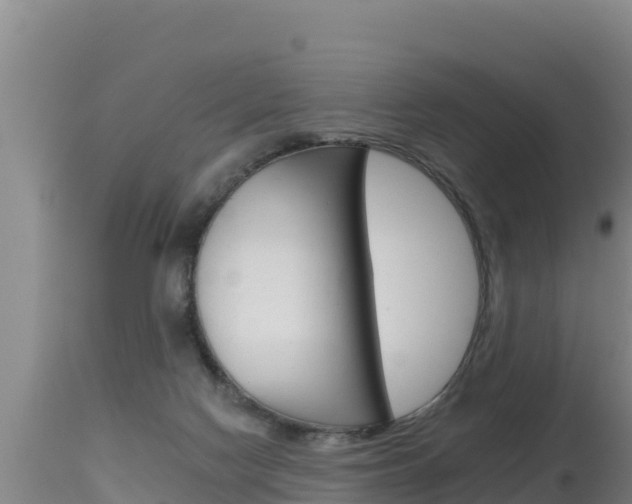 X0000115670074200911121016
