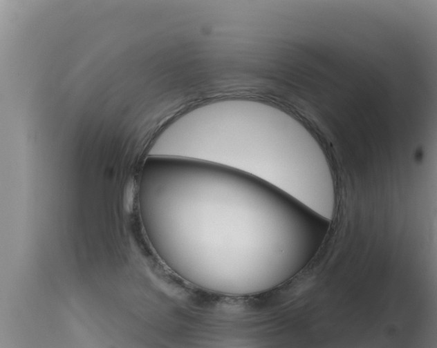 X0000115670076200911121016