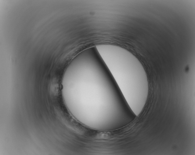 X0000115670080200911121016