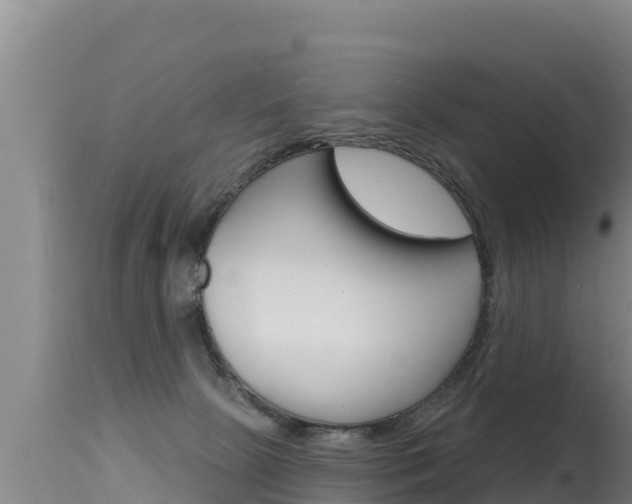 X0000115670081200911121016