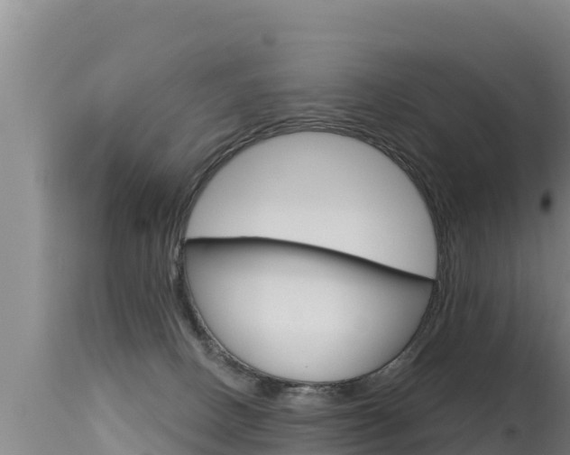 X0000115670082200911121016