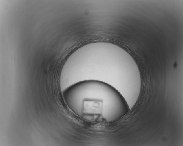 X0000115670084200911121016