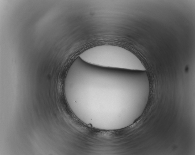 X0000115670086200911121016