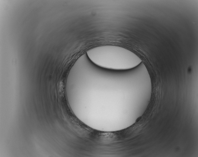X0000115670087200911121016
