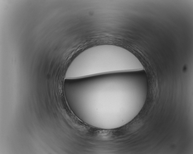 X0000115670088200911121016