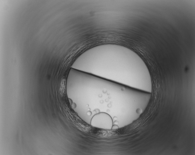 X0000115670093200911121016