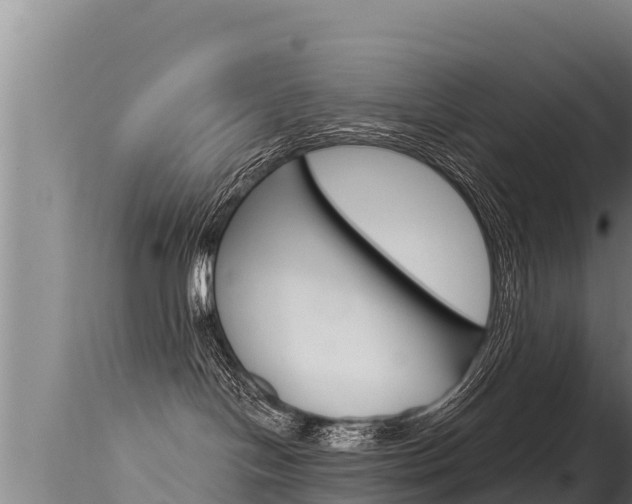 X0000115670094200911121016