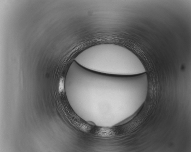 X0000115670095200911121016