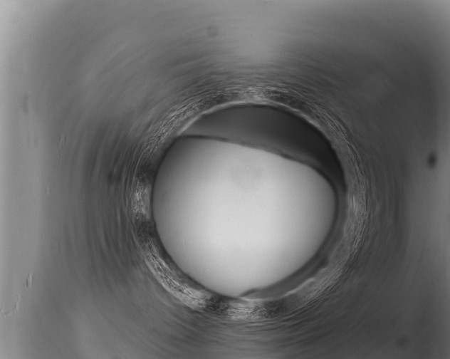 X0000115670096200911121016