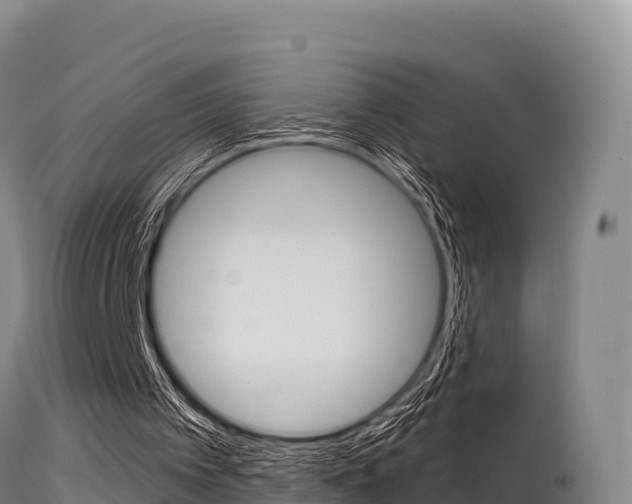 X0000115670097200911121015