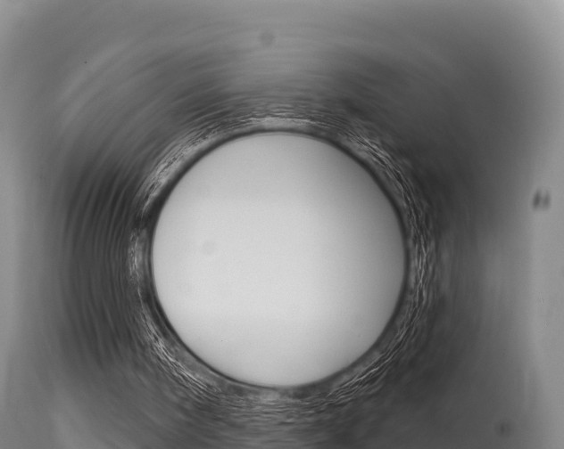 X0000115670098200911121015