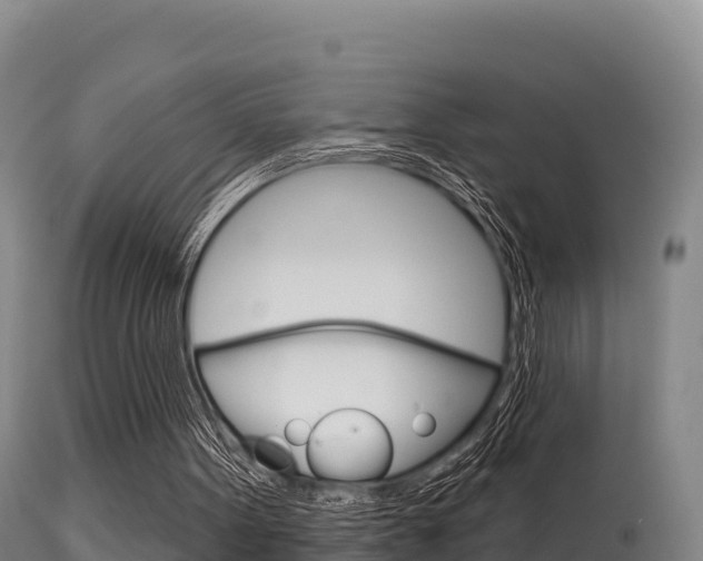 X0000115670099200911121015