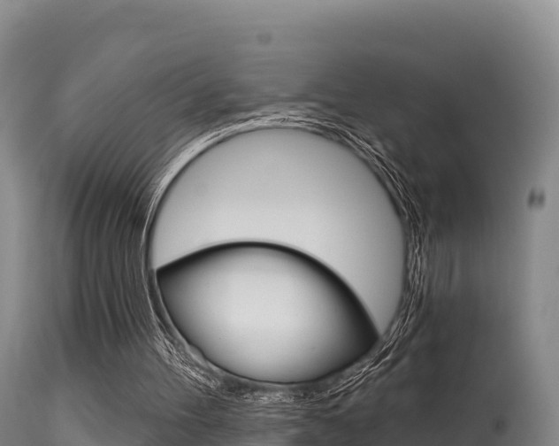 X0000115670100200911121015